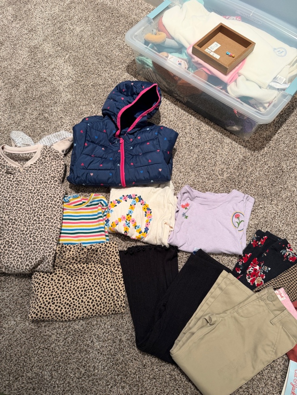 Toddler Girl Bundle 4-5T